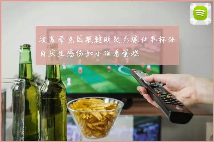 埃基蒂克因跟腱断裂无缘世界杯独自庆生感伤如小猫看蛋糕